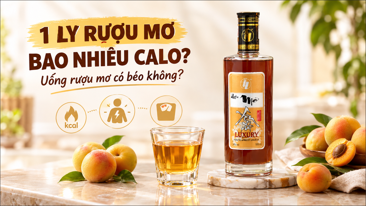 1 Ly Rượu Mơ Bao Nhiêu Calo? Uống Rượu Mơ Có Béo Không?