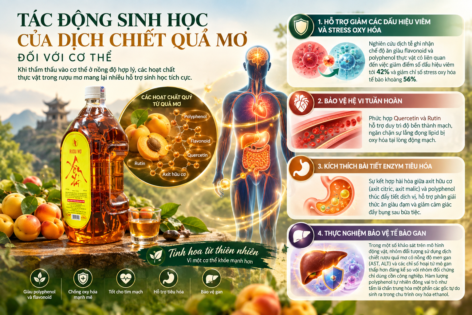 Nghiên Cứu Về Hợp Chất Polyphenol Trong Quả Mơ Rừng: Rượu Mơ Có Thực Sự Hỗ Trợ Chống Oxy Hóa?