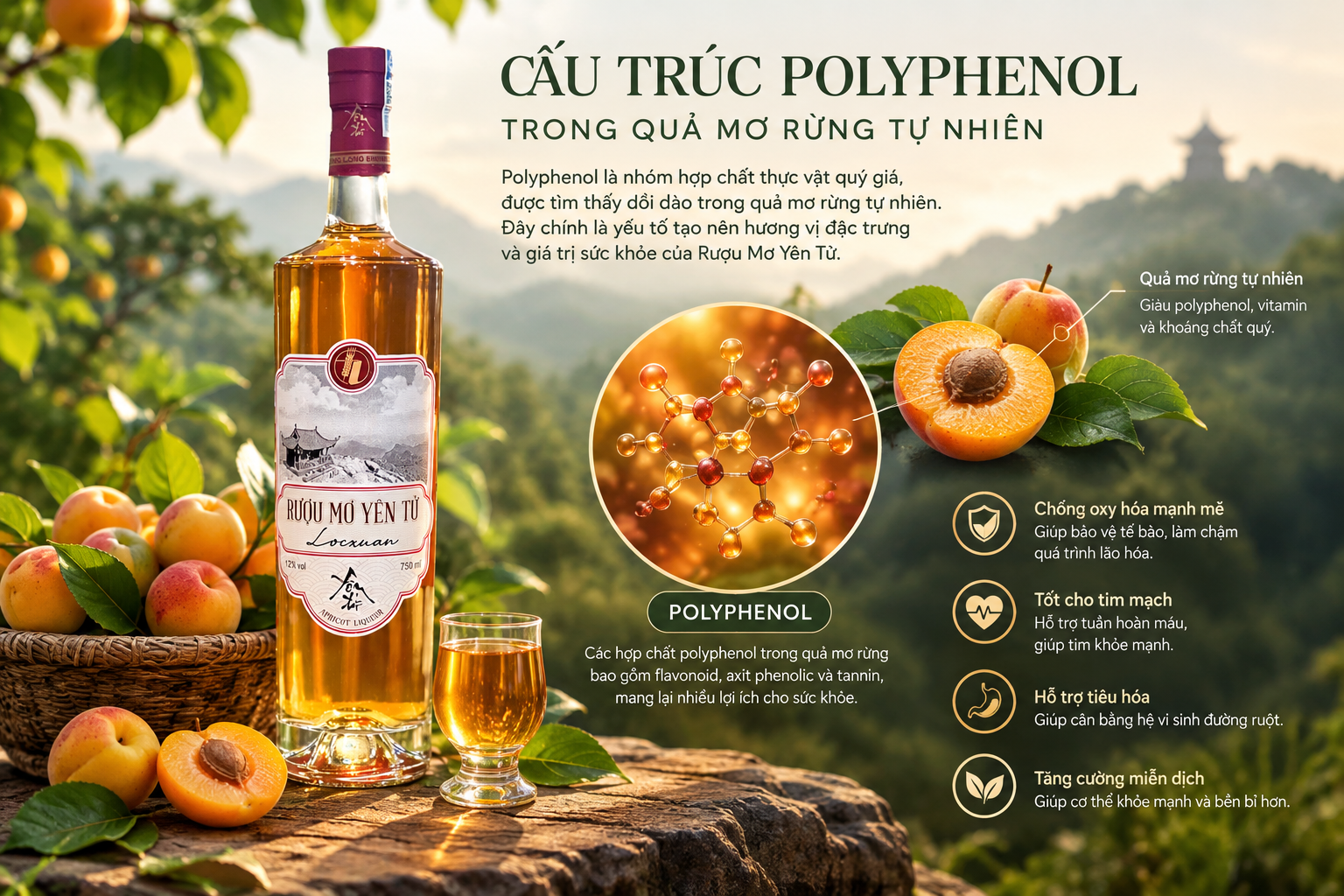 Sơ đồ cấu trúc polyphenol trong quả mơ rừng tự nhiên Yên Tử