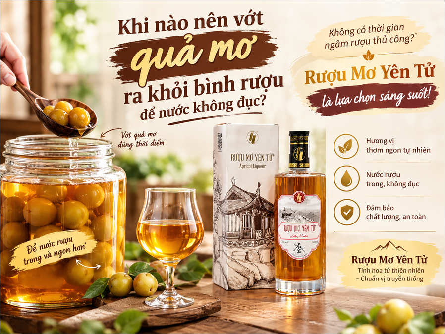 Khi Nào Nên Vớt Quả Mơ Ra Khỏi Bình Rượu Để Nước Không Đục?
