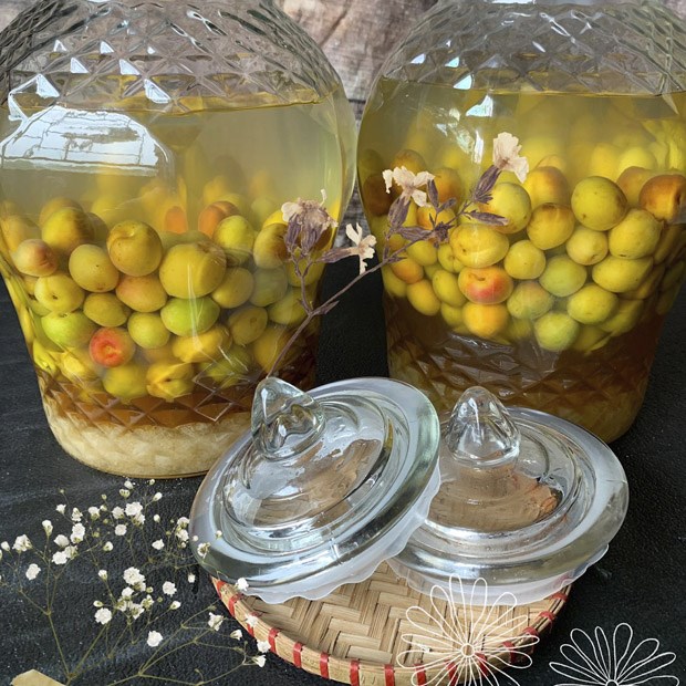 Bình ngâm rượu mơ bằng mật ong chuẩn vị Bình ngâm rượu mơ bằng mật ong và đường chuẩn nghệ nhân không lo nổi váng