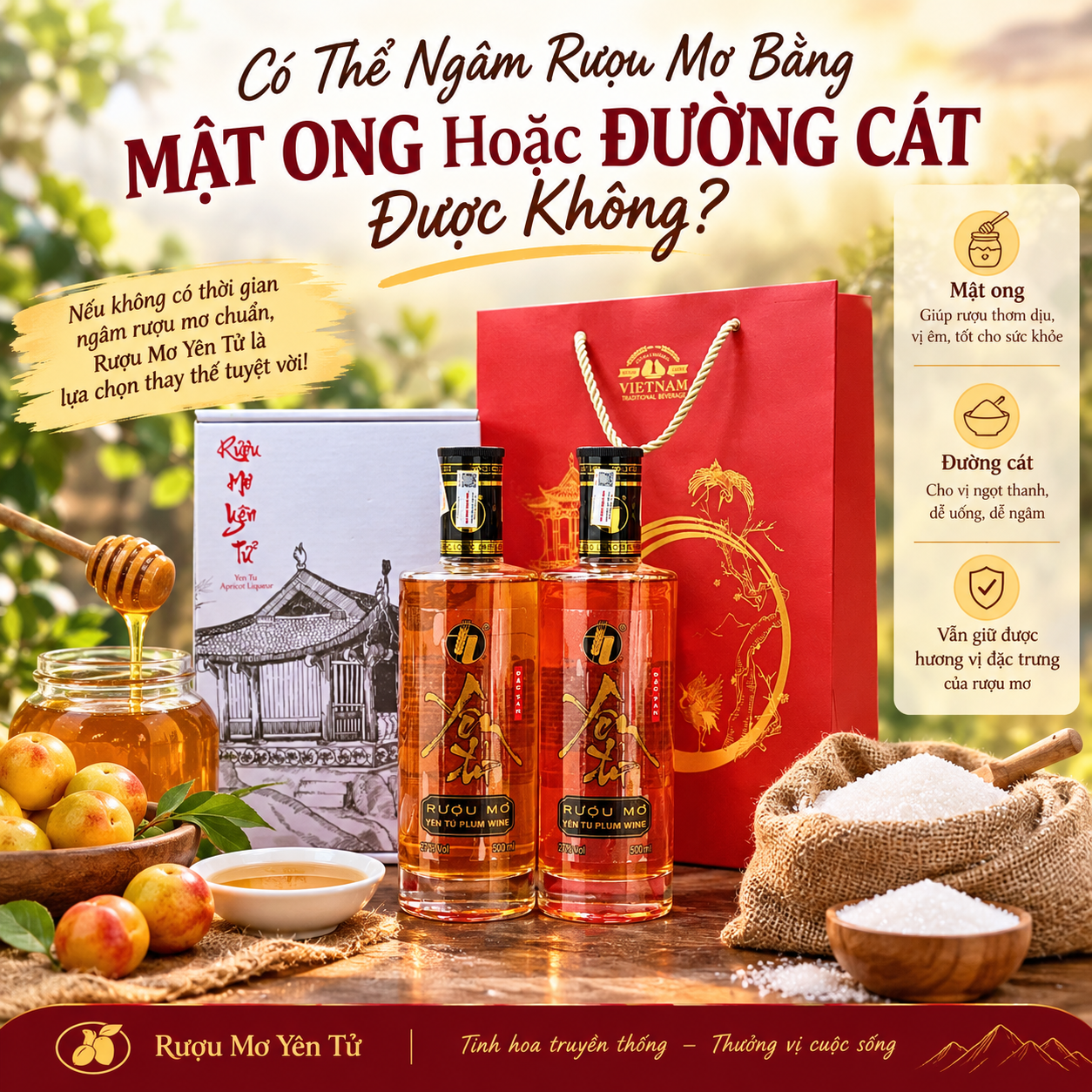 Có Thể Ngâm Rượu Mơ Bằng Mật Ong Hoặc Đường Cát Được Không?