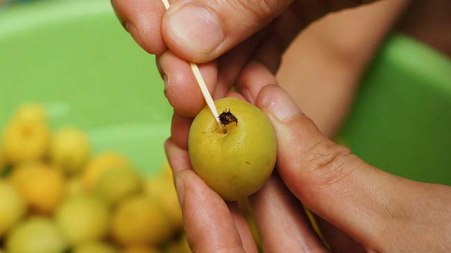 ngâm rượu mơ có chọc tăm không và thao tác khều cuống quả