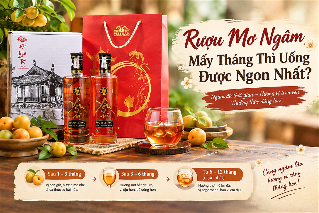 Rượu Mơ Ngâm Mấy Tháng Thì Uống Được Ngon Nhất?